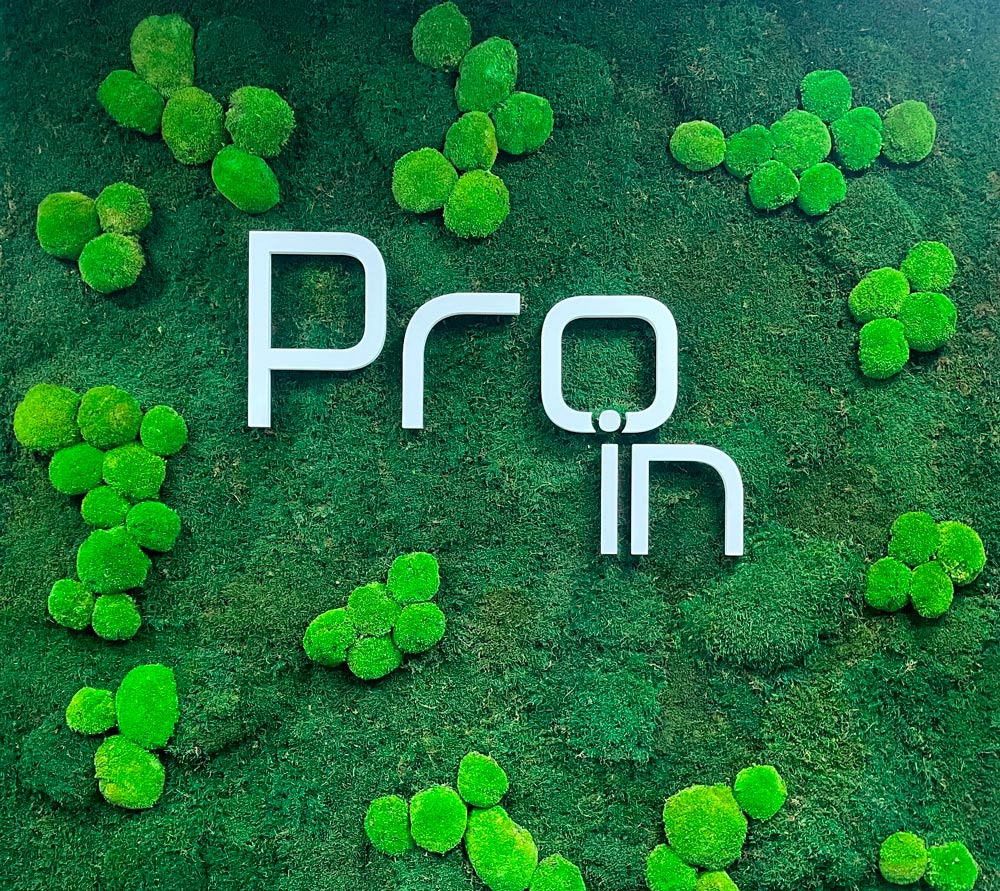 logo_proin_web_